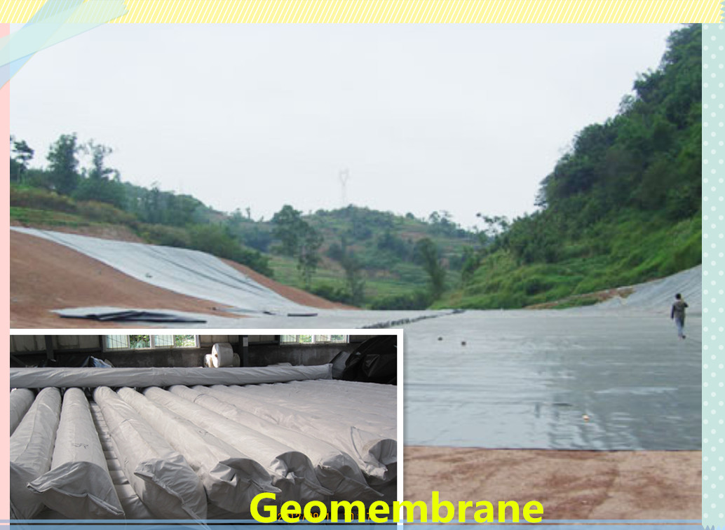 HDPE Geomembrane for dam